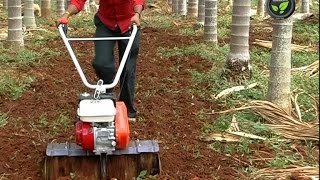 Rotary Tiller or Power Weeder [upl. by Airamak]