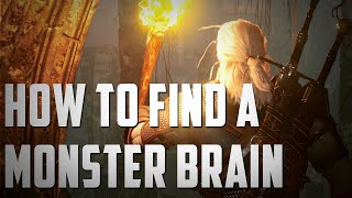 The Witcher 3  How To get a Monster Brain [upl. by Aiela154]