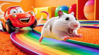 🌈 Hamster Maze with Colorful Traps 🐹 The Best Hamster Challenges 😱 42 [upl. by Eleanore]