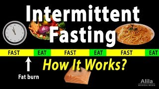 Intermittent Fasting  How it Works Animation [upl. by Ronile]