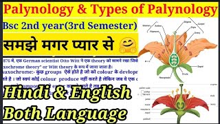 Palynology amp Types of Palynology  Part1 Morphology  परागकण  Bsc 2nd year3rd Semester bsc [upl. by Korrie]