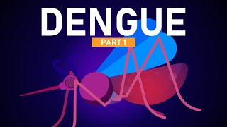 Dengue Explained in 5 Minutes [upl. by Anelem]