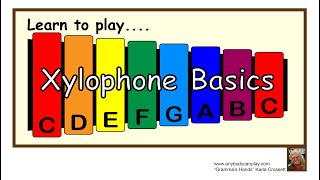 Xylophone Learn Basics of Playing a Xylophone [upl. by Wenoa]