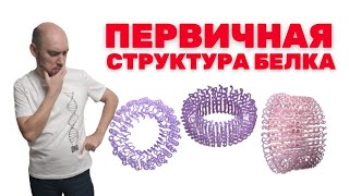 Как устроена первичная структура белка Душкин объяснит [upl. by Eseuqcaj]