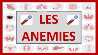 🔴 hématologie  LES ANEMIES feriprives megaloblastiques  les thalassemies [upl. by Naples]