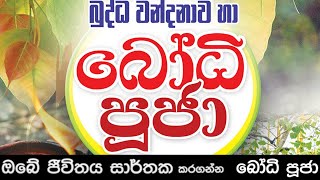 à¶¸à·„à· à¶¶à¶½à·ƒà¶¸à·Šà¶´à¶±à·Šà¶± à¶¶à·à¶°à·’ à¶´à·–à¶¢à· Bodhi Pooja [upl. by Arza]