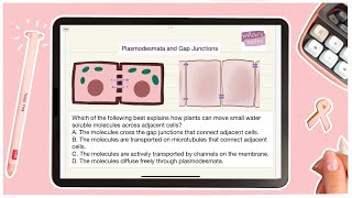 Cell Signaling  Cell Junctions Plasmodesmata and Gap Junctions  AP Biology [upl. by Ezri523]