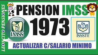 736🦁PENSIÒN IMSS LEY 1973 😃👍✅ pension adultosmayores ayudasocial pagos méxico [upl. by Eradis474]