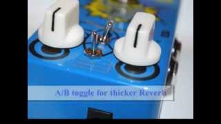 Biyang Baby Boom TriReverb RV10 [upl. by Lai]