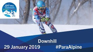 Downhill  2019 World Para Alpine Skiing World Championships [upl. by Whale]