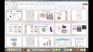 Immunology Fall 2023 Lecture 3 Humoral Innate Immunity [upl. by Dnaleel]