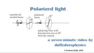 Polarized light [upl. by Kendal458]