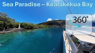 Big Island 2024  Sea Paradise Kealakekua Bay  360 Video [upl. by Neona139]