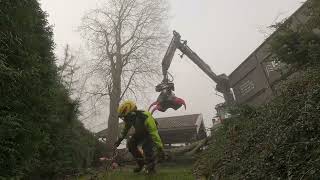 Removing a big salix with Farmikko 300TCE and Valtra T235D [upl. by Lewanna]