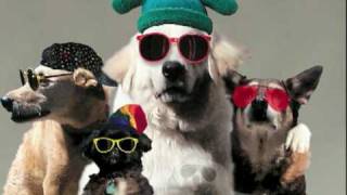 YOURE A GOOD DOG Video Song [upl. by Jon]