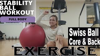 STABILITY BALL WORKOUT¦SWISS BALL CORE AND BACK EXERCISE workout swissball satisfying riv [upl. by Berky]