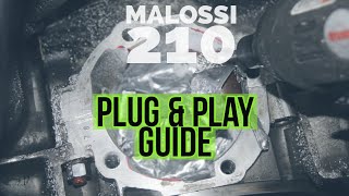 THE ultimate VESPA MALOSSI sport 210 pnp TUNING GUIDE  FMPSolid PASSion [upl. by Yesnik]