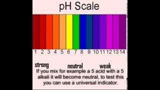 MCR  Sci  C4 Acids Bases and the Ph scale [upl. by Shetrit]