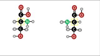 Bioquímica  Enantiómeros D y L de los aminoácidos [upl. by Nibbor]