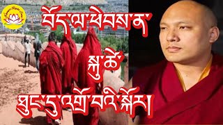 HH Karmapas speech if go to Tibet then reduce the age rumtekkarmaekhenpo karmapa rinpoche [upl. by Merry972]