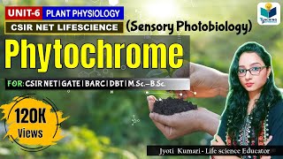 PHYTOCHROME  CSIRNET  GATE  Plant Biology  Sensory photobiology [upl. by Mccreary]