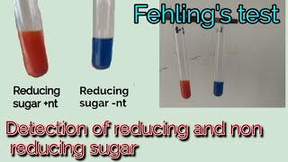 Fehlings test  Princple  Procedure  Uses  Detection of reducing and non reducing sugar  Hindi [upl. by Leban569]