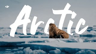 DJI Inspire 2  The Life In The Arctic [upl. by Komarek]