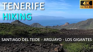 Tenerife Hiking From Santiago Del Teide via Arguayo to Los Gigantes [upl. by Renrut]