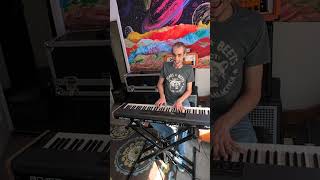 Elton John  Rocketman Cover [upl. by Llerahs658]