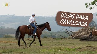 Treinar antes da cavalgada [upl. by Noirb]