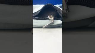 How to Quickly Repair a Broken Zipper Simple Fix in Minutes [upl. by Nadaba]