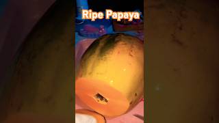 SWEET RIPE PAPAYA fruit trending yummy delicious shorts [upl. by Jurkoic593]