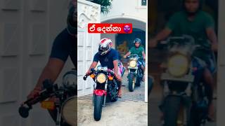 ආ පැටියො කොහොමද 😁 hondahornet slbikes hornet250 bikevideo automobile japanbike bikelife sl [upl. by Lativa]