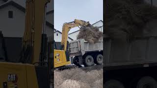 Neighbors Join Forces to Clear Thousands of Tumbleweeds [upl. by Liatnahs]