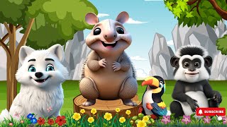 Sounds Of Adorable Animals Armadillos Arctic Wolf Colobus Guereza Toucan  Animal Sounds [upl. by Crifasi]