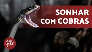 O que significa SONHAR com COBRA 🐍  SIGNIFICADO DOS SONHOS 💤 [upl. by O'Conner712]