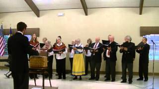 Harlig ar jorden  Swedish Choir – Beautiful Savior [upl. by Bach658]