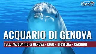 Acquario di Genova 2022  Bigo lascensore panoramico una visita alla Biosfera e caruggi di Genova [upl. by Shuler212]