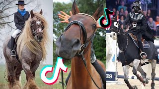 The Best HORSE  TikTok Compilation 50 [upl. by Ger237]