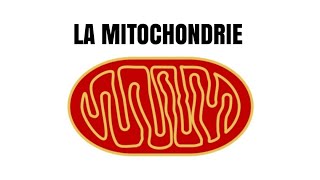 La mitochondrie [upl. by Ninaj350]