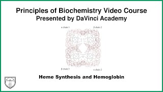 Heme Synthesis and Hemoglobin Metabolism 21 of 21 [upl. by Irtemed]