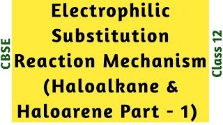 Electrophilic Substitution Reaction  Bromination and Nitration Haloalkane amp Haloarene Part 1 [upl. by Haneeja]