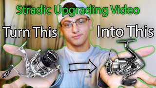 2019 Stradic FL Upgrade to STELLA Bearing UPGRADE [upl. by Gerius]