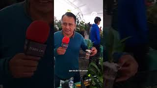 3era Expo Orquídea en Huauchinango David Moreno es productor de Orquideas y viene desde Veracruz 🌸🪷 [upl. by Xilef]