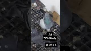 Yeni kanalıma abone olun çekiliş hakkı kazanım güvercinvideoları güvercin taklaciguvercin birds [upl. by Bodnar224]