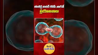 పరగడుపున జీలకర్ర వాటర్ కలిపి తాగితే ప్రయోజనాలు  Benefits Of Drinking With Cumin Water shorts [upl. by Shelden]