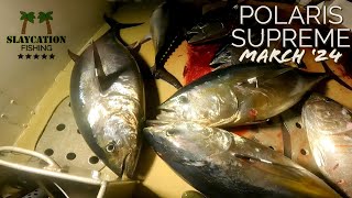 BLUEFIN TUNA Fishing Offshore  Polaris Supreme Seaforth Landing San Diego [upl. by Ailahs]