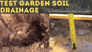 How to Test Soil Drainage [upl. by Orlantha]