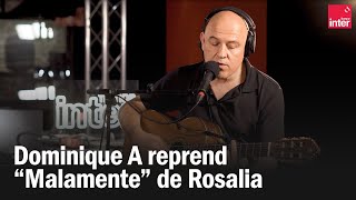 Dominique A reprend quotMalamentequot de Rosalia [upl. by Doherty]