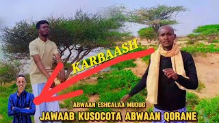 DHAANTO JAWAAB KUSOCOTA ABWAAN QORANE BY ESHCALAA MUDUG 2024 subscribe dhaanto [upl. by Thecla464]